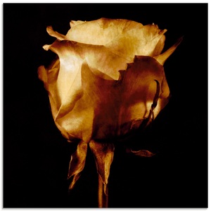 Artland Glasbild »Vergoldfarbenete Rose«