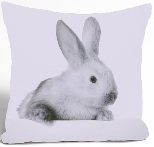 queence Kissenhülle »Barry«, (1 St.), süsser Hase