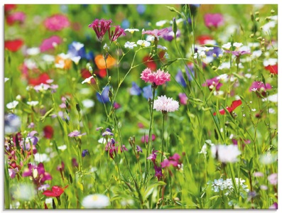 Artland Glasbild »Blumenwiese I«