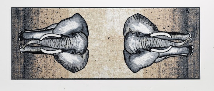 SALONLOEWE, Fussmatte, Salonloewe Fussmatte, rechteckig, 7 mm Höhe