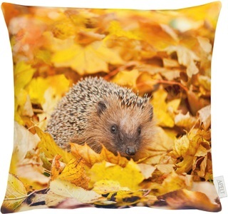 undefined, Apelt Kissenhülle Herbstzeit, APELT Dekokissen »1111«