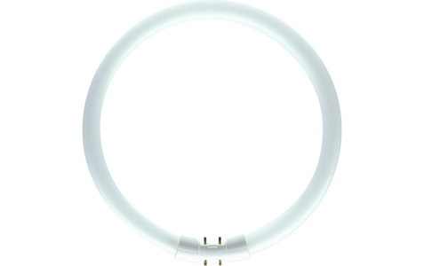 Philips, 2GX13 60W 840 Ring-Leuchtstofflampe Master TL5, Philips MASTER TL5C rund 60W - 840 Kaltweiß | 38cm