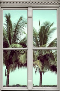 QUEENCE, queence Wandsticker »Palmen«, queence Wandsticker »Palmen«, Wandsticker, Wandbild, selbstklebend, 3D, Fenster
