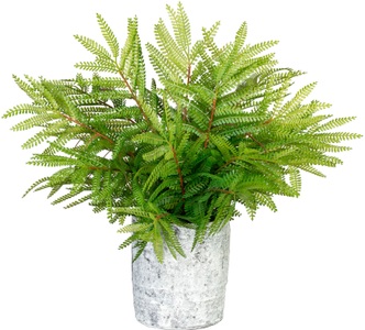 Creativ green, Creativ green Kunstpflanze »Farn«, (1 St.), 