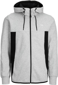 JACK & JONES, Jack & Jones Kapuzensweatjacke »J JCOAIR BLOCK SWEAT ZIP HOOD«, 