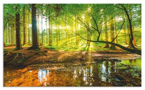 Artland, Artland Küchenrückwand »Wald mit Bach«, Artland Küchenrückwand »Wald mit Bach«, (1 tlg.), Alu Spritzschutz mit Klebeband, einfache Montage
