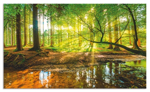 Artland, Artland Küchenrückwand »Wald mit Bach«, Artland Küchenrückwand »Wald mit Bach«, (1 tlg.), Alu Spritzschutz mit Klebeband, einfache Montage