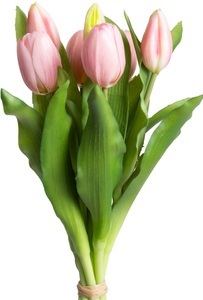 DELAVITA, DELAVITA Kunstblume »Willa«, (Set, 7 St.), Tulpenbündel im 7er-Set, Botanic-Haus Kunstblume »Willa«, Tulpenbündel im 7er-Set