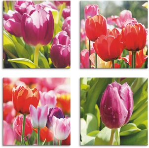 Artland, Artland Leinwandbild »Frühling und Tulpen«, Artland Leinwandbild »Frühling und Tulpen«, Blumen, (4 St.), 4er Set, verschiedene Grössen