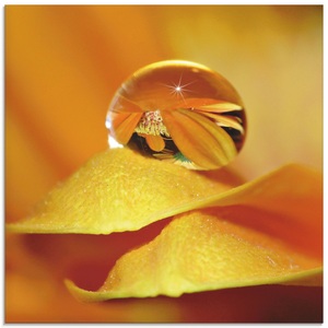 Artland Glasbild »Wassertropfen II«