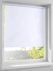 heine home, Rollo, 