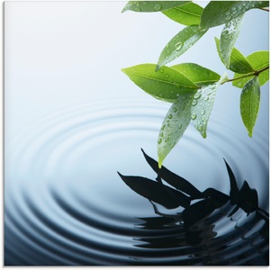 Artland Glasbild »Pflanze und Wasser«
