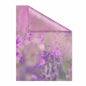 LICHTBLICK ORIGINAL Fensterfolie »Blumenwiese« 1 Stk. blickdicht strukturiert Klebepunkte