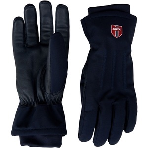 swix, Swix Blizzard, Skihandschuhe, navy