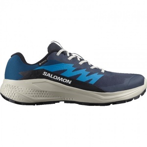 Salomon, Salomon Alphaglide GTX, Laufschuhe, Herren, blau