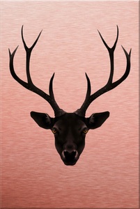 undefined, Alu-Dibond-Druck »Ireland - The Black Deer - Schwarzer Hirsch«, Wall-Art Metallbild »Ireland The Black Deer Schwarzer Hirsch«, Landschaften, Metallposter modern
