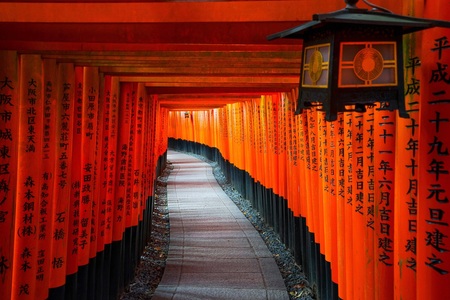 Papermoon, Papermoon Fototapete »KYOTO TEMPEL-JAPAN BAMBUS ALLEE BUDDHA WANDTAPETE DEKO«, Vliestapete, hochwertiger Digitaldruck, inklusive Kleister, Papermoon Fototapete »KYOTO TEMPEL-JAPAN BAMBUS ALLEE BUDDHA WANDTAPETE DEKO«
