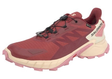 Salomon, Salomon SUPERCROSS 4 Multifunktionsschuhe Damen, SUPERCROSS 4 GORE-TEX Trailrunningschuhe