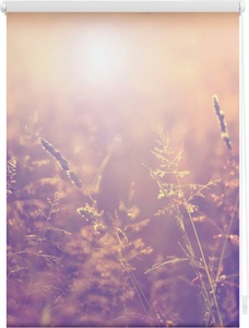 LICHTBLICK, Seitenzugrollo, Lichtblick, »Sommerabend«, Klemmfix, Kettenzug, Lichtschutz, Fixmass, ohne Bohren, LICHTBLICK ORIGINAL Seitenzugrollo »Klemmfix Motiv Sommerabend«, Lichtschutz, ohne Bohren, freihängend, bedruckt