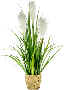 IGEA, I.GE.A. Kunstpflanze »Pampasgras«, Mit Übertopf, künstliches Pampas Gras, I.GE.A. Kunstpflanze »Pampasgras«, Mit Übertopf, künstliches Pampas Gras