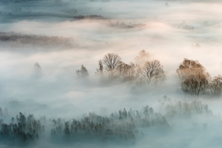 Papermoon, Papermoon Fototapete »Photo-Art MARCO GALIMBERTI, WINTERNEBEL«, Vliestapete, hochwertiger Digitaldruck, inklusive Kleister, Papermoon Fototapete »Photo-Art MARCO GALIMBERTI, WINTERNEBEL«