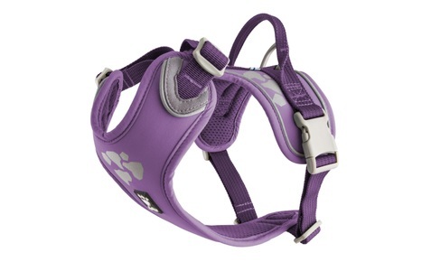 HURTTA, HURTTA Geschirr Weekend Warrior, Farbe, HURTTA Hunde-Geschirr »Weekend Warrior Geschirr, violett«, Polyester