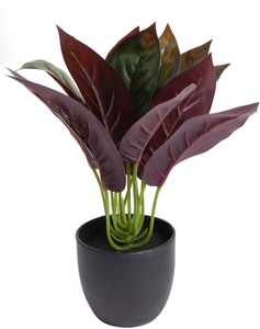 Botanic-Haus, Botanic-Haus Künstliche Zimmerpflanze »Calathea«, Botanic-Haus Künstliche Zimmerpflanze »Calathea«