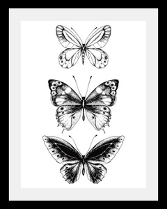 undefined, Bild »Schmetterlinge«, queence Bild »Schmetterlinge«, Tiere-Schwarz-Weiss-Kunst-Insekten-Schmetterlinge, HD Premium Poster-Druck inkl. Holzrahmen
