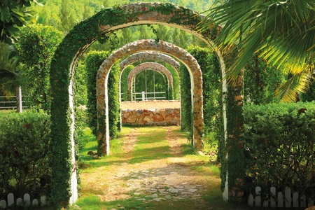 Papermoon Fototapete »Pergola Garden«
