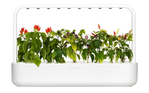 Click and Grow, Click and Grow Click and Grow Kr?utertopf Smart, Click and Grow Kräutertopf »Smart Garden 9 Weiss«