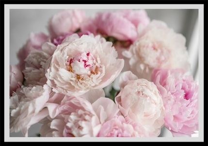 QUEENCE, queence Bild »Amalia«, Blumen, gerahmt, Rosen, queence Bild »Amalia«, Blumen, gerahmt, Rosen