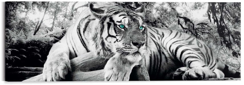 undefined, Wandbild »Tigerblick Wandbild Tiger - Raubtier - Wandbild Wohnzimmer - Wandbild«, Reinders! Wandbild »Tigerblick Wandbild Tiger - Raubtier - Wandbild Wohnzimmer - Wandbild«