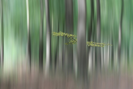 Papermoon, Papermoon Fototapete »Photo-Art HUIB LIMBERG, SUMMERMHERING«, Vliestapete, hochwertiger Digitaldruck, inklusive Kleister, Papermoon Fototapete »Photo-Art HUIB LIMBERG, SUMMERMHERING«