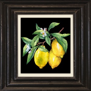 QUEENCE, queence Leinwandbild »Zitronen«, queence Leinwandbild »Zitronen«, Kunst-Obst-Stillleben-Obst Bilder, Premium-Leinwandstoff, Handarbeit aus Deutschland, 40x40cm