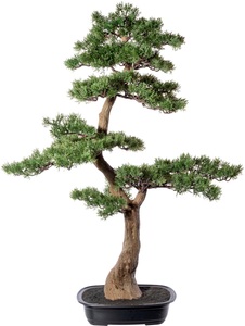 Creativ green, Creativ green Kunstbonsai »Bonsai Lärche«, (1 St.), im dekorativen Topf, 