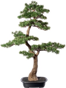 Creativ green, Creativ green Kunstbonsai »Bonsai Lärche«, (1 St.), im dekorativen Topf, 