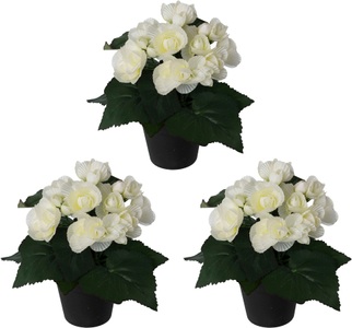Creativ green, Creativ green Kunstpflanze »Begonie«, (3 St.), im 3er Set, Creativ green Kunstpflanze »Begonie«, im 3er Set
