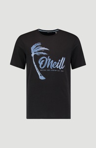 O'NEILL, O'Neill T-Shirt »Palm graphic«, 