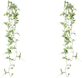 Creativ green, Creativ green Kunstranke »Farnpflanze«, (2 St.), in toller Grösse, 