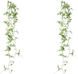 Creativ green, Creativ green Kunstranke »Farnpflanze«, (2 St.), in toller Grösse, 