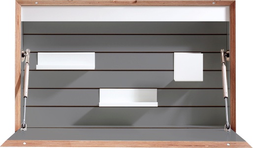 Müller SMALL LIVING, Müller SMALL LIVING Wandsekretär »FLATBOX«, hängend, wahlweise LED Beleuchtung mit Touch-Funktion oder An/Aus-Schalter inklusive integrierter Steckdose, Design by Michael Hilgers, Müller SMALL LIVING Wandsekretär »FLATBOX«, wahlweise LED Beleuchtung mit Touch-Funktion oder An/Aus-Schalter