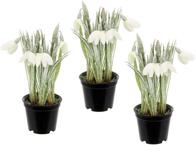 IGEA, I.GE.A. Kunstpflanze »Schneeglöckchen«, (3 St.), Geeist, im Topf, 3er Set Kunstblume Künstliche Frühjahrsblüher Blüten Osterblumen Osterdeko Osterglocken Topfpflanzen Frühlingshafte Kunstpflanzen Mittelstücke Tischdeko, I.GE.A. Kunstpflanze »Schneeglöckchen«, 19 cm