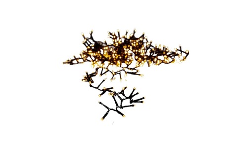 Star Trading, Star Trading - LED-Leuchtgirlande - Schwarz, Parforce Traditional Hunting LED-Lichterkette »LED Lichterkette Golden 16m«, 800 St.-flammig