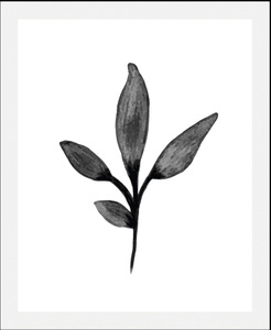 QUEENCE, queence Bild »Hille«, (1 St.), gerahmt, queence Bild »Hille«, (1 St.), HD Premium Poster-Druck inkl. Holzrahmen