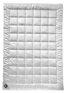 Billerbeck, billerbeck - Duvet CLIVIA DUO - Polyester - weiss - 200/210 cm, billerbeck Microfaserbettdecke »Clivia Duo«, warm, Füllung 100% Polyester, AIRSOFT clean®, Hohlfaser, Bezug 100% Polyester, Microfasergewebe, Öko-Tex Standard 100, (1 St.)
