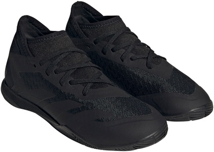 adidas Performance, adidas Performance Fussballschuh »PREDATOR ACCURACY.3 IN«, 
