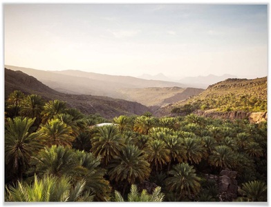 Wall-Art, Wall-Art Poster »Oase Oman«, Wüste, (1 St.), Poster, Wandbild, Bild, Wandposter, 