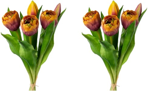 MY HOME, my home Kunsttulpe »Tulpenbund«, (2 St.), my home Kunsttulpe »Tulpenbund«