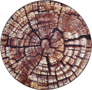 GINO FALCONE, Gino Falcone Teppich »Aurora GF-095«, rund, 5 mm Höhe, Holz Optik, ideal im Wohnzimmer & Schlafzimmer, Gino Falcone Teppich »Aurora GF-095«, rund, 5 mm Höhe, Holz Optik, ideal im Wohnzimmer & Schlafzimmer