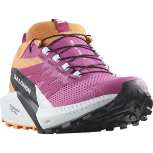 Salomon, Salomon Damen Sense Ride 5 GTX Schuhe, 